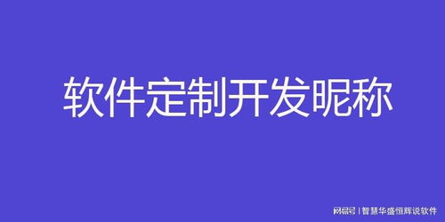 中國軟件外包服務市場格局與領先企業解析