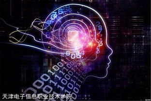 邁向國(guó)際高端服務(wù)業(yè)的橋梁——國(guó)家示范校央財(cái)支持重點(diǎn)建設(shè)專業(yè)“軟件外包服務(wù)”建設(shè)綜述